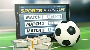 Explore the Excitement of dssh bet Explore the Excitement of dssh bet